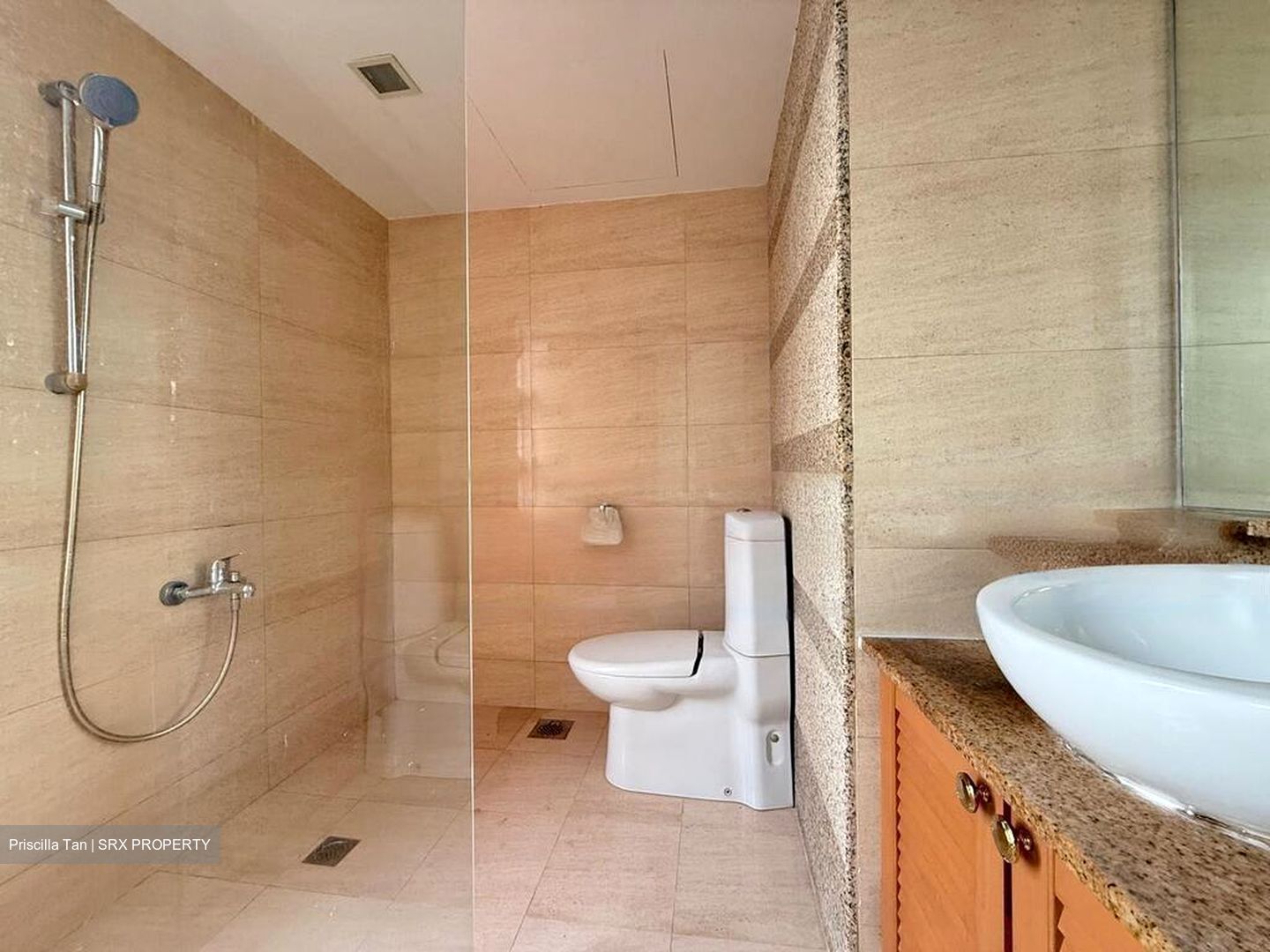 Pandan Valley (D21), Condominium #450710721